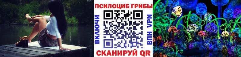 ОМГ ОМГ как войти  дарнет шоп  Темрюк  это состав  Псилоцибиновые грибы Psilocybine cubensis 